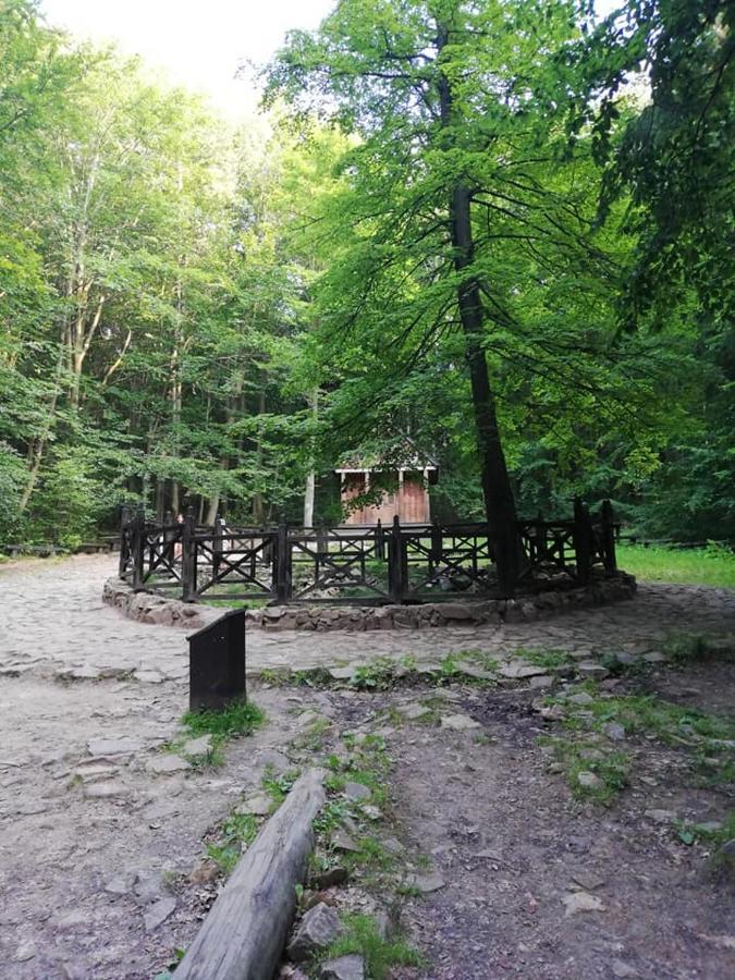 Agroturystka Na Polanie Apartment Swieta Katarzyna  Exterior photo